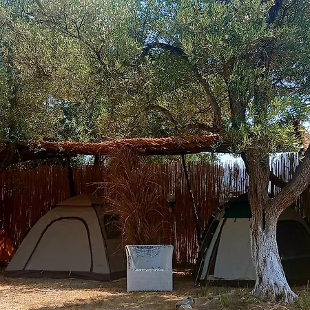 Ullishtja אתר קמפינג *