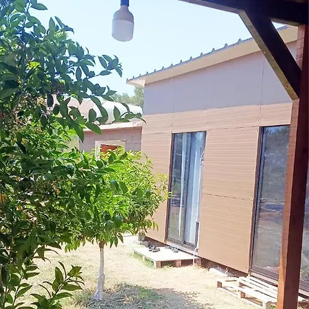 Ullishtja Camping Qeparo