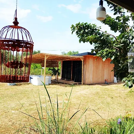 Kamp alanı Ullishtja