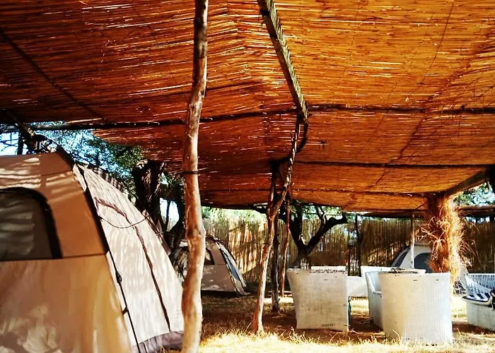 Campingplatz Ullishtja Qeparo