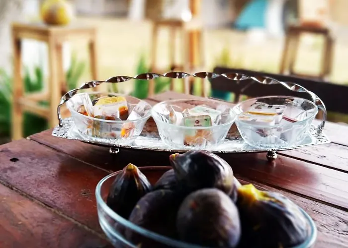 Campingplatz Ullishtja