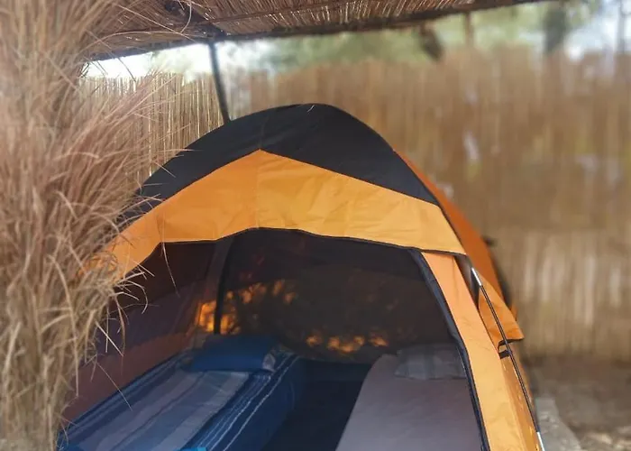 Kamp alanı Ullishtja Qeparo